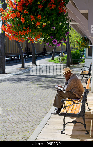 Man on bench with hat reading paper as freight train goes by.  Colourful flowers hang above. In White Rock, Canada Stock Photo