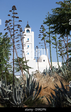 Minaret of Sidi Bou Said Mosque in local traditional colours. Photo taken in suburb of Tunis - capital city of Tunisia Stock Photo