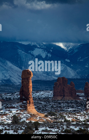 rock stacks in the Windows Section with the La Sal Mountains beyond, Arches National Park, Utah, USA Stock Photo