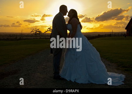 Horizontal close up portrait of a bride and groom holding hands together infront of a romantic sunset on their wedding day. Stock Photo