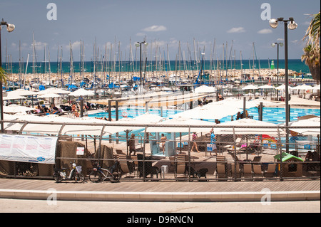 Israel Tel Aviv Gay Pride Day Gordon Beach swimming pool leisure pleasure boat port harbour marina Mediterranean Sea blue sky palm trees Stock Photo
