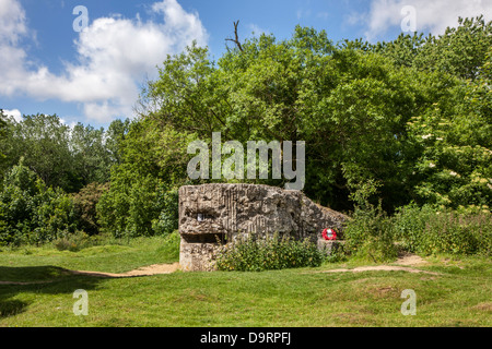 Ruin of First World War One German pillbox / bunker on Hill 60, WWI military site at Zillebeke, West Flanders, Belgium Stock Photo