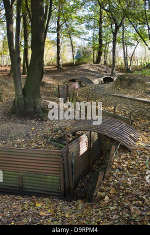 Trenches from First World War One at the Sanctuary Wood Museum Hill 62 WWI site at Zillebeke, West Flanders, Belgium Stock Photo