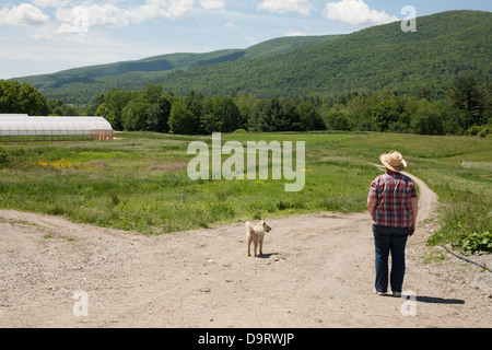 A CSA (Community Supported Agriculture) member surveys the fields at the beginning of the summer in Southern Vermont. Stock Photo