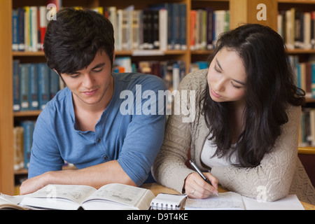 Two concentrated students learning Stock Photo
