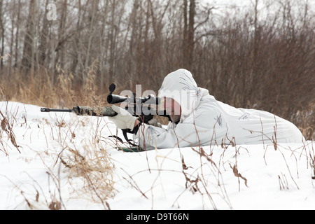 Coyote hunting in the winter Stock Photo