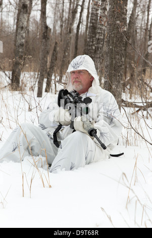 Coyote hunting in the winter Stock Photo