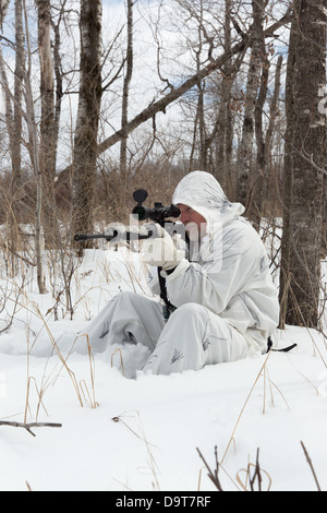 Coyote hunting in the winter Stock Photo