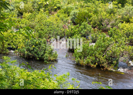 The Teuk Chhou Rapids in the Province of Kampot, Cambodia Stock Photo