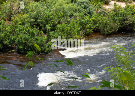 The Teuk Chhou Rapids in the Province of Kampot, Cambodia Stock Photo