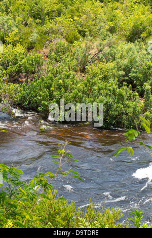 The Teuk Chhou Rapids in the Province of Kampot, Cambodia Stock Photo