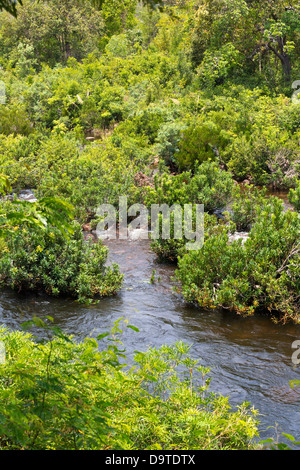 The Teuk Chhou Rapids in the Province of Kampot, Cambodia Stock Photo