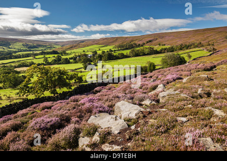 Westerdale, North York Moors National Park, North Yorkshire Stock Photo