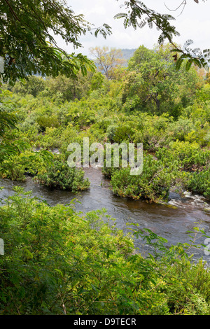 The Teuk Chhou Rapids in the Province of Kampot, Cambodia Stock Photo