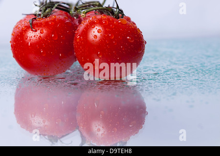 Beauty tasty fresh red tomatoes on green stem. Stock Photo