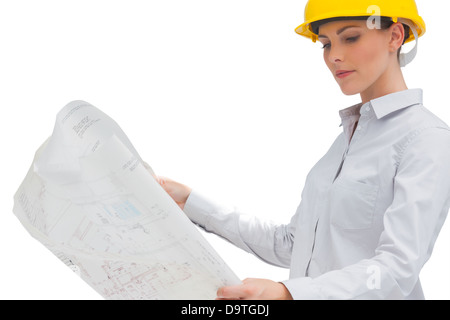 Architect looking at blueprint Stock Photo