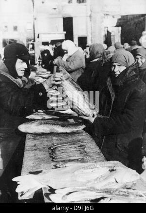 Propaganda text on the back of the picture for National Socialist report: 'On the fish market in Rostov. Life takes its normal course again after the establishment of the German military rule. Fish are sold again on the fish market.'  Motive from the Eastern front / Russia from the 5th of January in 1943.    Fotoarchiv für Zeitgeschichte Stock Photo