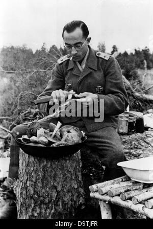 Propaganda text of National Socialist report on the back of the picture:  'There are many mushrooms in the area of the main combat line. The cook knows how to prepare them for his comrades in his sparse free time'. Motive from the Eastern front on the 21st of October in 1943. In contrast to the information propagated in Germany, there was supply shortage as a rule at the Eastern front.     Fotoarchiv für Zeitgeschichte Stock Photo