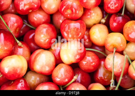 Seamless texture of sweet cherries Stock Photo