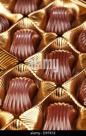 Delicious chocolate pralines in the golden box Stock Photo