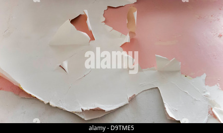 Peeling White Paint on a Pink Background Stock Photo