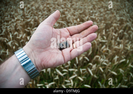 Hand holding a piece of exploded rifle grenade, found on the Somme Battlefield, Picardy, France Stock Photo