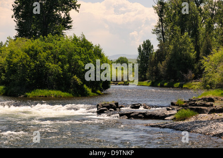 River Greenery and Rocky Riverbank Stock Photo