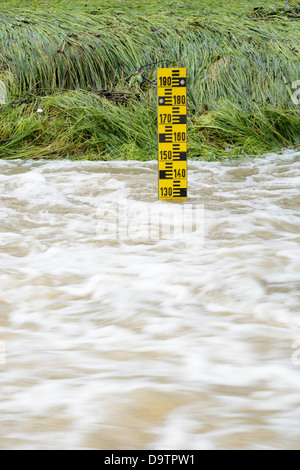 River Level Ruler Water level gauge on a river Stock Photo - Alamy