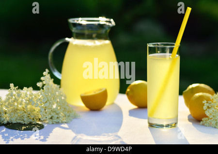 Homemade elderflower juice with lemon on table in a garden. Glass of summer cold drink with lemon. Stock Photo