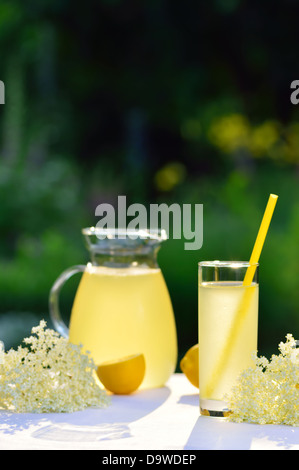 Homemade elderflower juice with lemon on table in a garden. Glass of summer cold drink with lemon. Copy space. Stock Photo