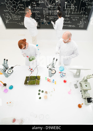 Aerial view of a group of diverse scientists or laboratory technicians working in a laboratory with plant specimens on the count Stock Photo