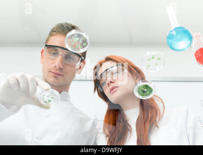 close-up of two caucasian scientists analysing samples from petri dishes, in a laboratory Stock Photo