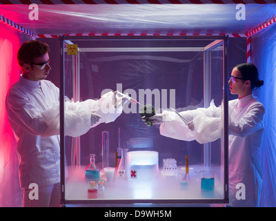 two scientists, a man and a woman, conducting chemical experiments on a piece of vegetable in a protective enclosure, in a containment tent Stock Photo