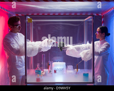 two scientists, a man and a woman, conducting chemical experiments on a piece of vegetable in a protection enclosure, in a containment tent Stock Photo