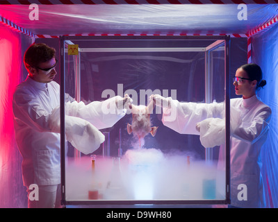 Two scientists standing on either side of an isolation or sterility tent holding onto the carcass of a bird over a white vapour while testing for bird flu virus or other pathogens in a laboratory Stock Photo