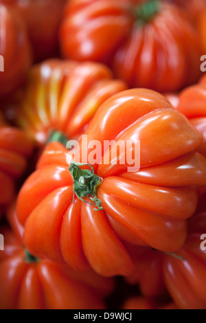 Saveol Coeur de Boeuf Tomatoes for sale at Borough Market - London UK Stock Photo