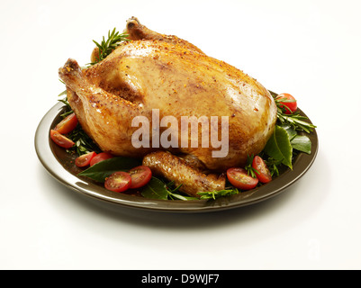 Thanksgiving turkey Stock Photo