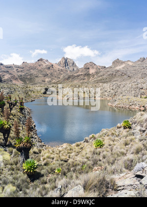 Kenya, Africa, Mount Kenya National Park. Sunrise with the peaks Batian and Nelion with reflection in a mountain lake. Stock Photo