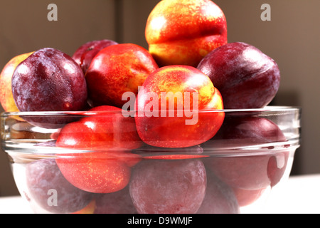 Nectarines and Plums in a glass bowl, close up Stock Photo