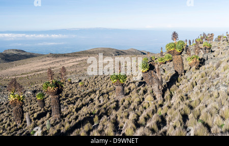 Kenya, Africa, Central Mount Kenya National Park. Sunrise with the Aberdare mountain range in the background . Stock Photo