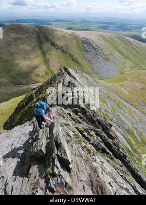 A female hill walker tackles Sharp Edge, a famous, narrow arete on Blencathra, a fell in the English Lake District Stock Photo