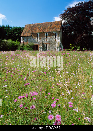 Wild Flower meadow growing on the site of the Stour Street Friary, with the C13th house of the warden in the background. Stock Photo