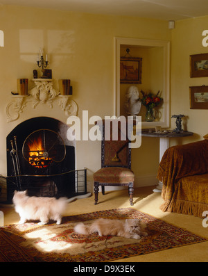 Two fluffy white cats on rug in front of fireplace with lit fire Stock Photo