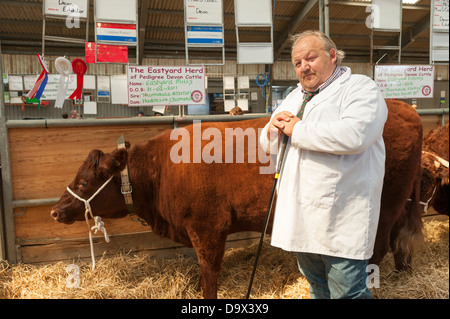 A farmer standing proudly with his prize winning red ruby Devon cow the Royal Cornwall Show 2013 Stock Photo