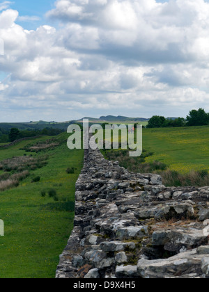 Hadrian's Wall near Chesters Roman Fort, Northumberland, UK - taken from a public right of way Stock Photo