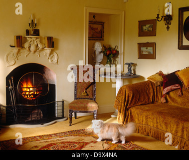 Gold chenille throw on sofa in country sitting room with low upholstered chair beside fireplace Stock Photo