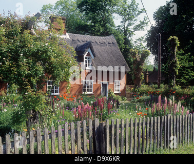 Wooden picket fence around garden with pink lupins in front of thatched English country cottage Stock Photo