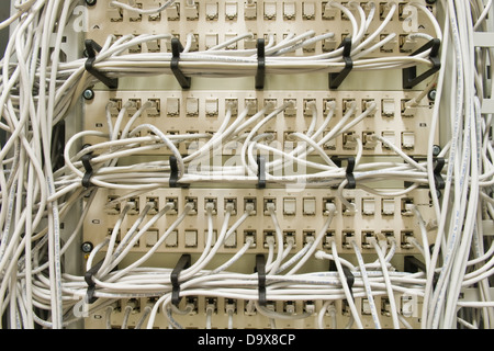 ethernet cables on a patch panel Stock Photo