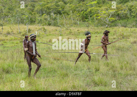 People of Dani tribe performing traditional fighting dance on November, 14, 2008 near Wamena, Papua, Indonesia. Stock Photo