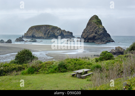 Rock stacks at pacific ocean shore in Samuel Boardman state park, Whaleshead, Oregon, USA Stock Photo